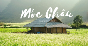 moc-chau-mua-cai-trang