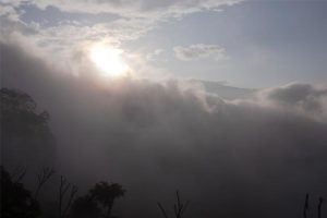 thuong-nho-ta-dung