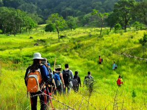 Trekking là gì?