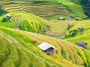 trekking-mai-chau