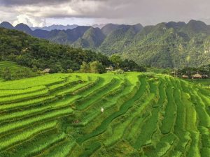 trekking-pu-luong
