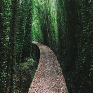 du-lich-long-an