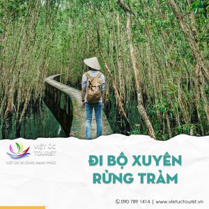 tour-du-lich-long-an-rung-tram-tan-lap