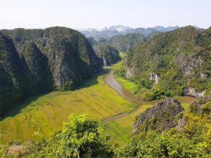 hang-mua-ninh-binh