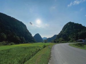 ngam-hoa-tam-giac-mach-2022