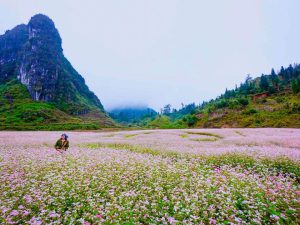 tour-du-lich-ha-giang