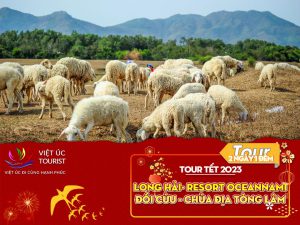 tour-tet-duong-lich-long-hai