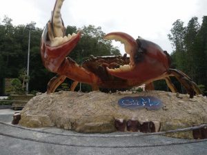 tour-du-lich-ca-mau
