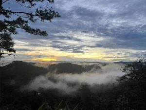 mang-den-2-ngay-1-dem