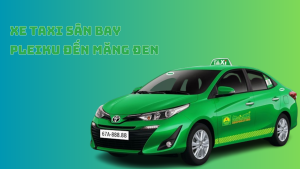 gia xe taxi mai linh đưa đón sân bay pleiku đi măng đen