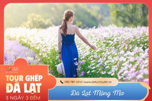 Da Lat Mong Mo