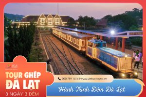 Hanh Trinh Dem Dat Lat