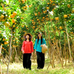 Phan Thiet Ke Ga Nang Vang 005