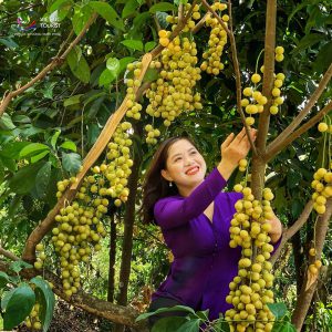 Phan Thiet Ke Ga Nang Vang 009