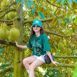 Phan Thiet Ke Ga Nang Vang 010