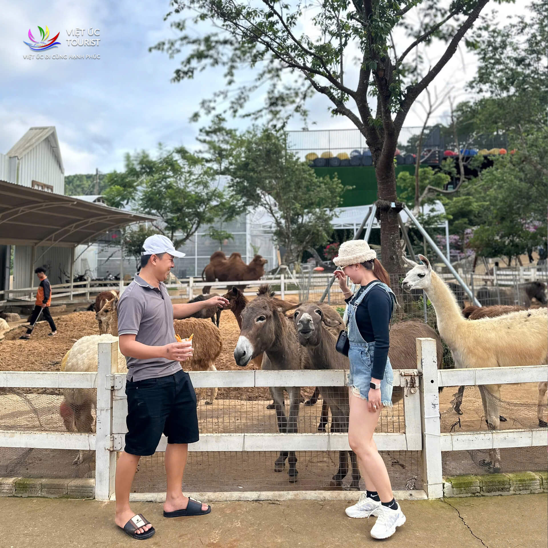 Tour Ghep Da Lat 29 5 012