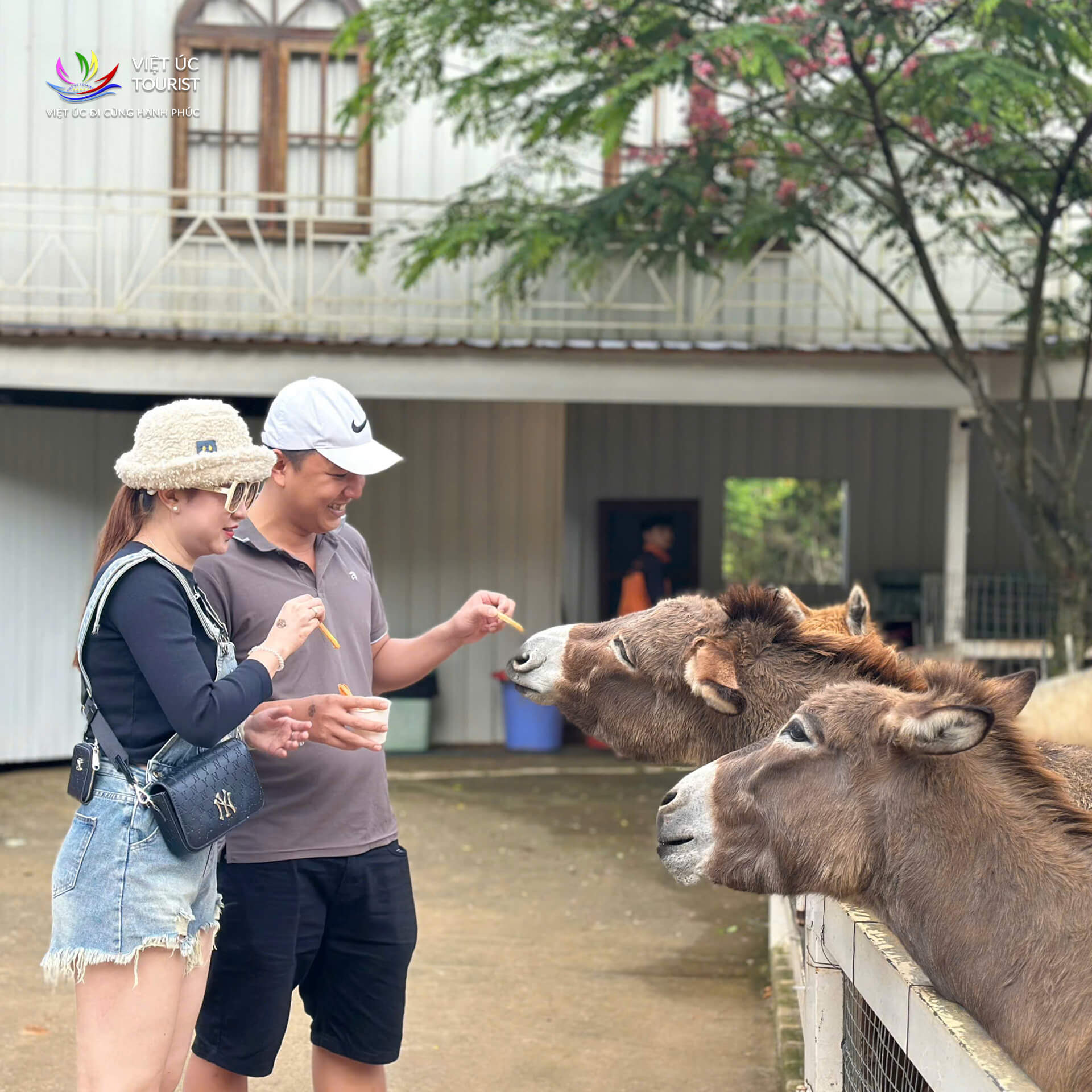 Tour Ghep Da Lat 29 5 013