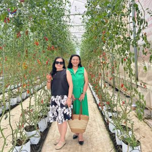 Tour Ghep Da Lat 29 5 022