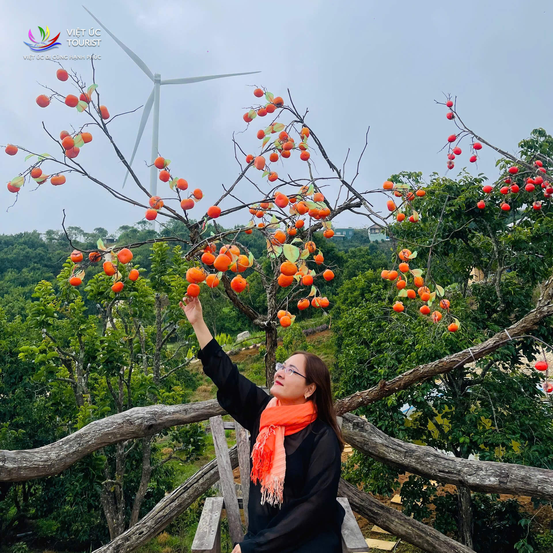 Tour Ghep Dalat 22 5 014