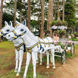Tour Ghep Dalat 22 5 027