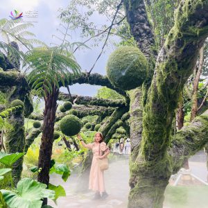 Tour Ghep Dalat 22 5 031