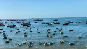 Phan Thiet Bo Bien Pt 006