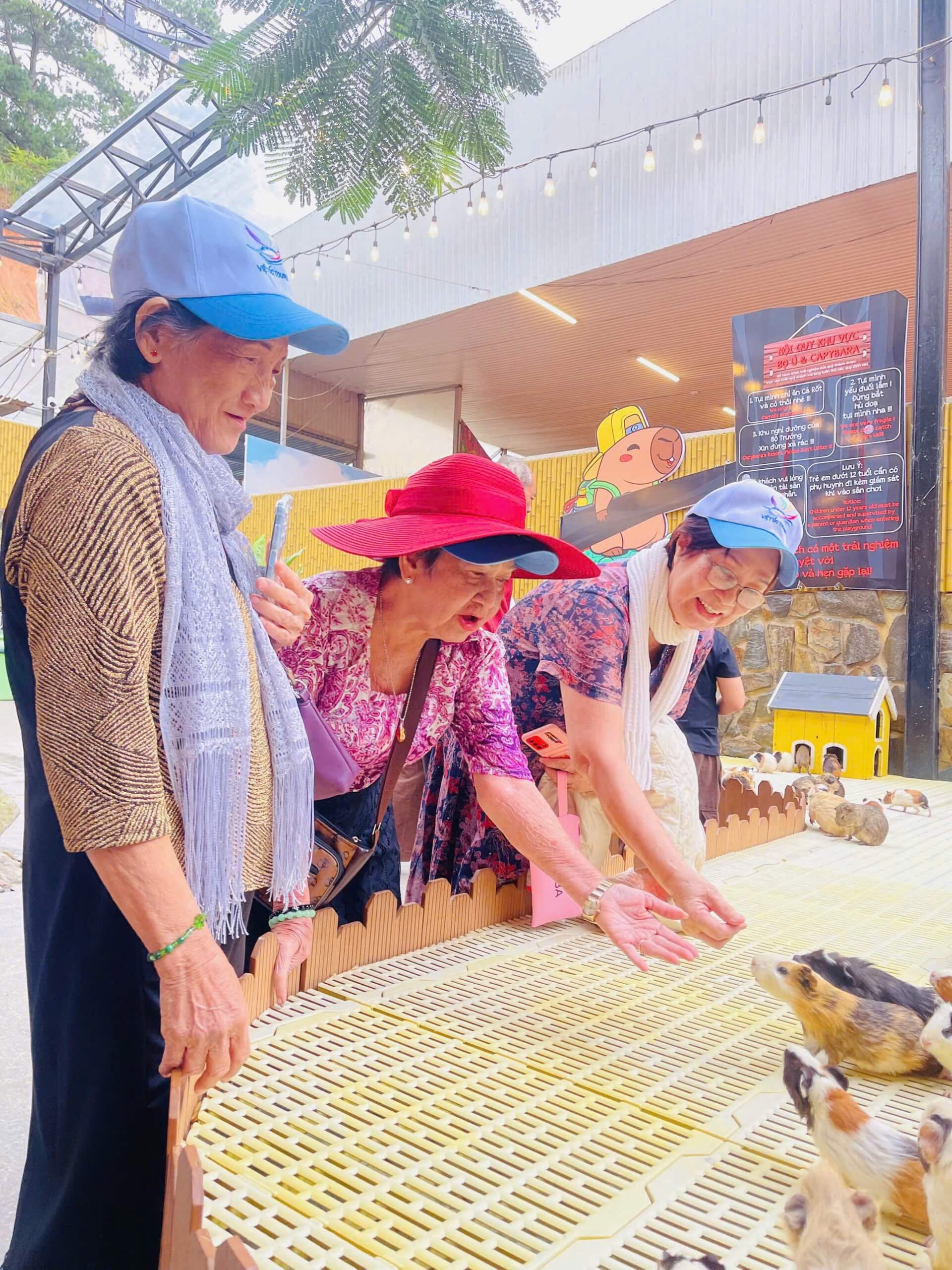 Tour Ghep Da Lat 23 6 006