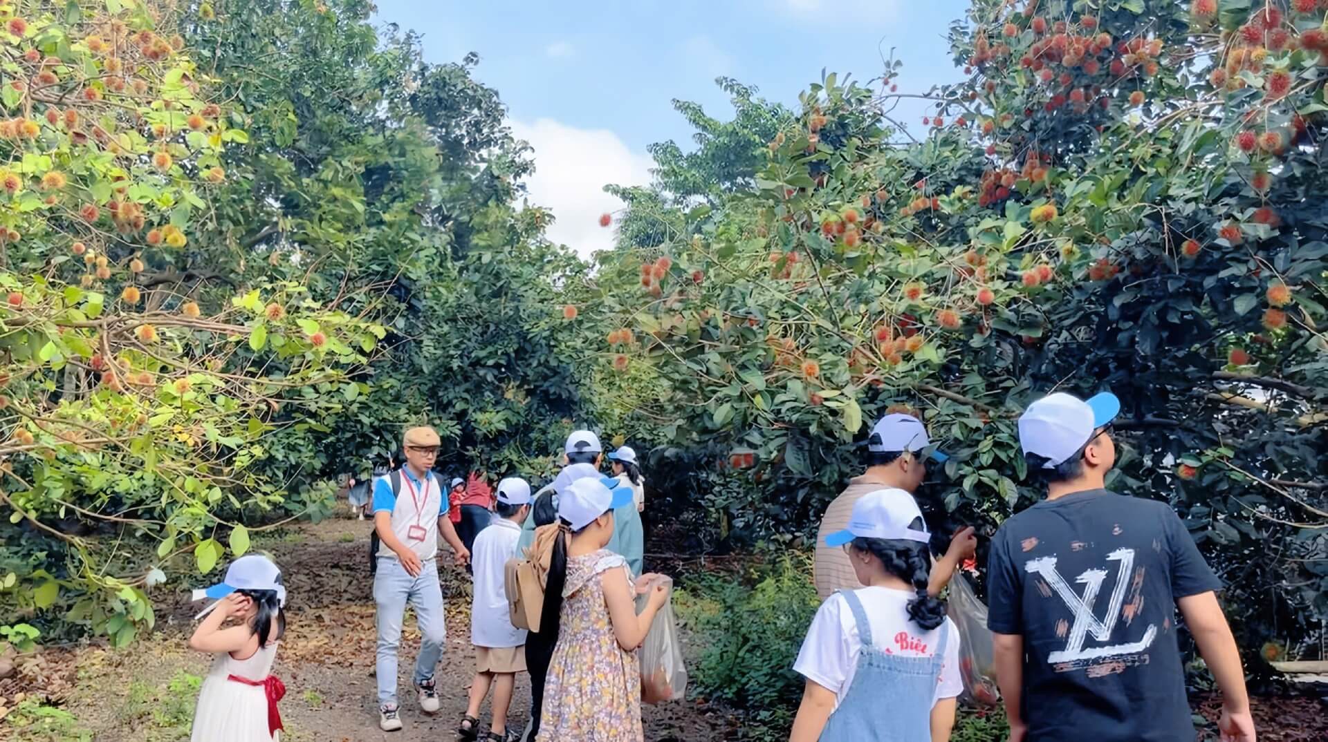 Tour Ghep Phan Thiet 12 7 008