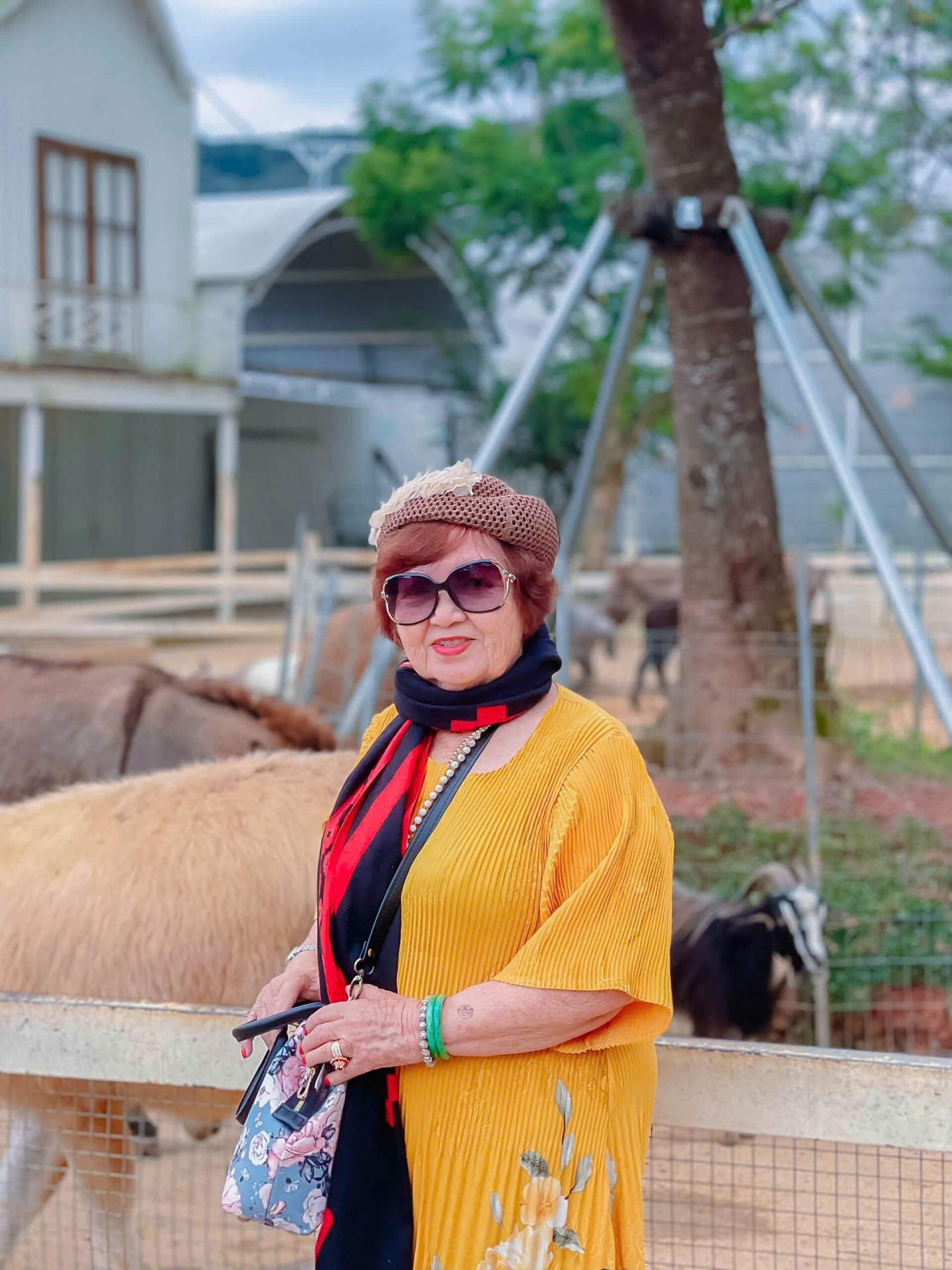Tour Ghep Da Lat 22 8 021