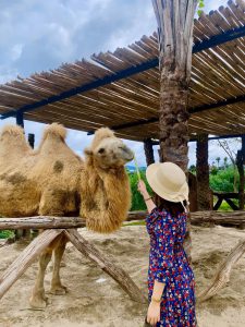 Tour Ghep Dat Lat 24 7 013