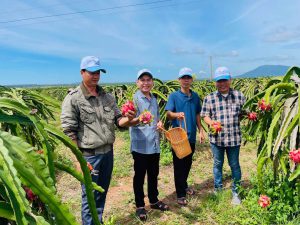 Tour Ghep Phan Thiet 18 8 031