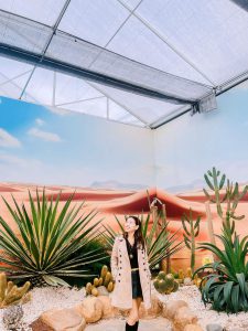 Tour Ghep Da Lat 20 10 2025 18