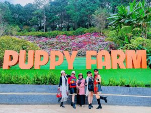 Tour Ghep Da Lat 20 10 2025 25