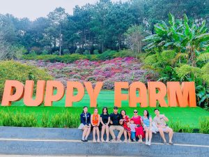 Tour Ghep Da Lat 24 10 2025 01