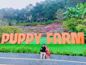 Tour Ghep Da Lat 24 10 2025 19