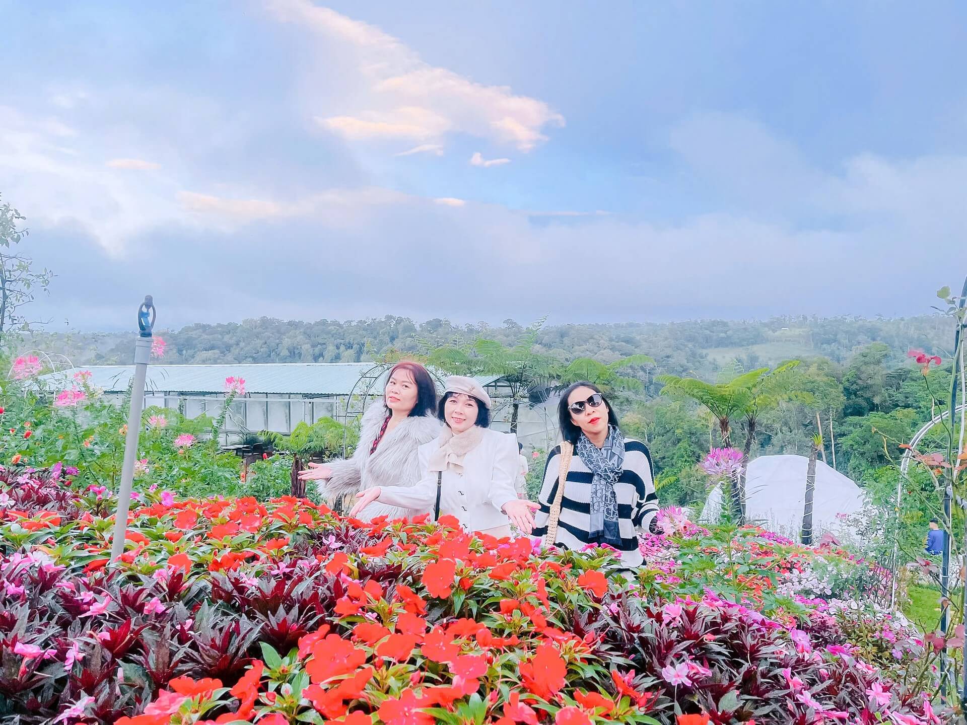 Tour Ghep Mang Den 21 10 25 017