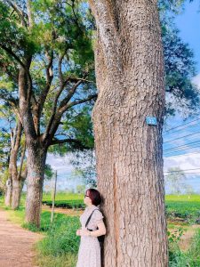 Tour Ghep Mang Den 21 10 25 06