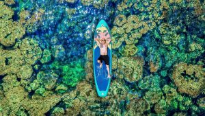 Tour Khach Doan Phu Quoc 11 10 25 01