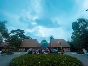 Tour Khach Doan Phu Quoc 11 10 25 012