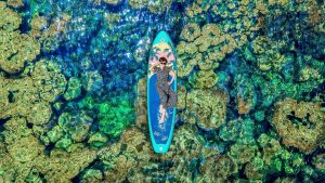 Tour Khach Doan Phu Quoc 11 10 25 04