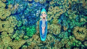 Tour Khach Doan Phu Quoc 11 10 25 05