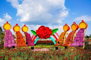 Festival Hoa Sa Dec 1