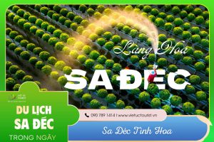 Festival Hoa Sa Dec Thumbnail