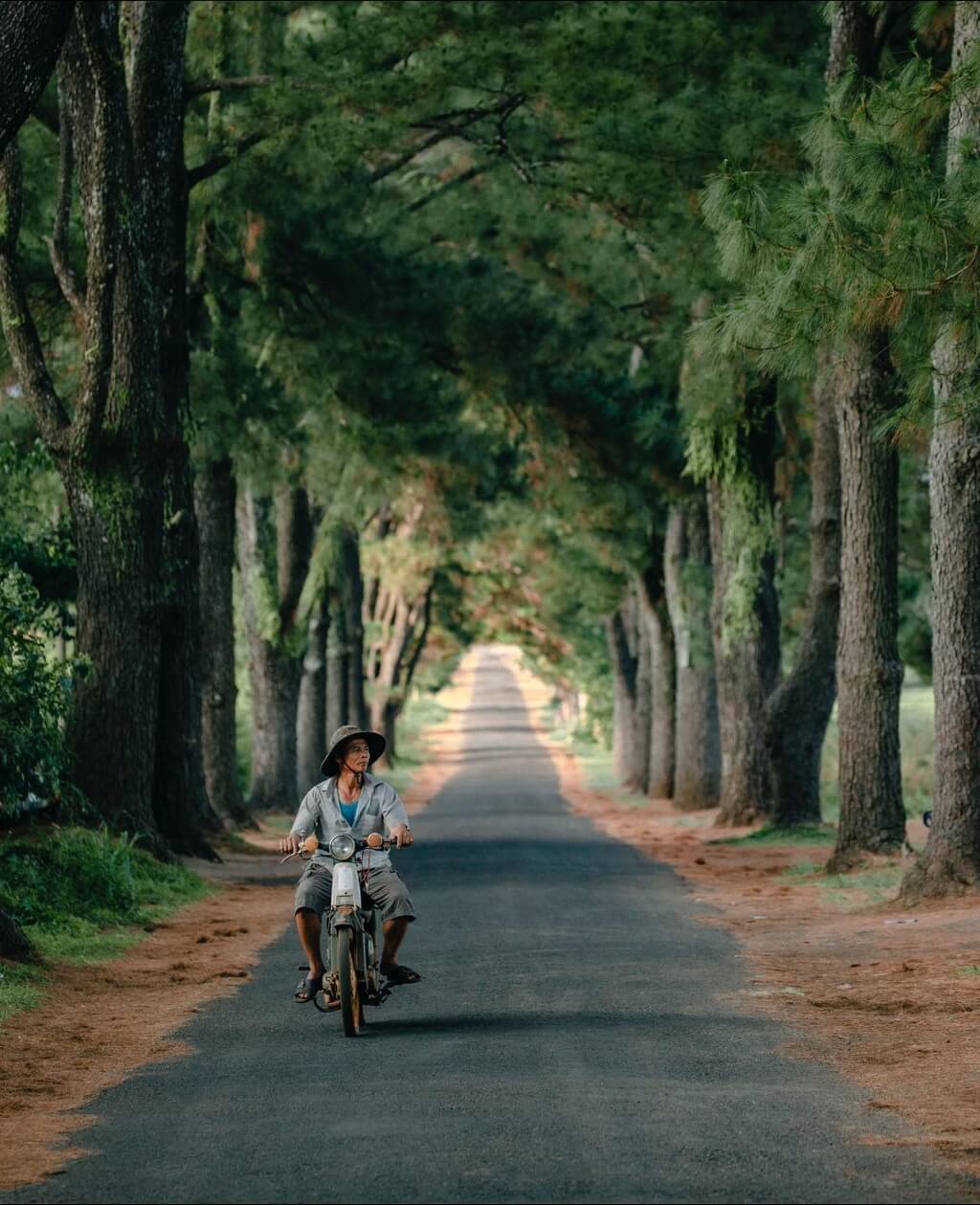 Hang Thong Tram Tuoi Gia Lai