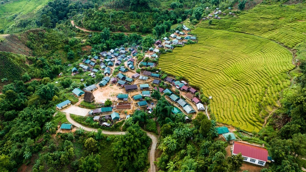 Ngam Lua Chin Thang 7 8 Mang Den Kon Tu Rang Ngoc Linh