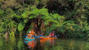 Cheo Sup Khu Du Lich Thac Pa Sy Mang Den