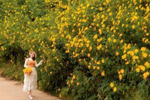 Hoa Da Quy Mang Den Thang 10