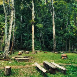 Khu Du Lich Pa Sy Co Gi Choi