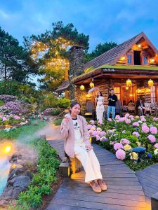 Mua Hoa Anh Dao Dem Da Lat 16