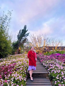 Mua Hoa Anh Dao Dem Da Lat 19